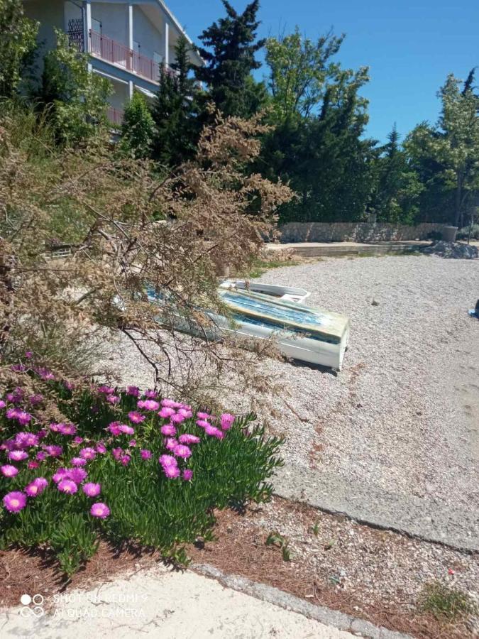 Apartments Vukelic Starigrad Paklenica Bagian luar foto